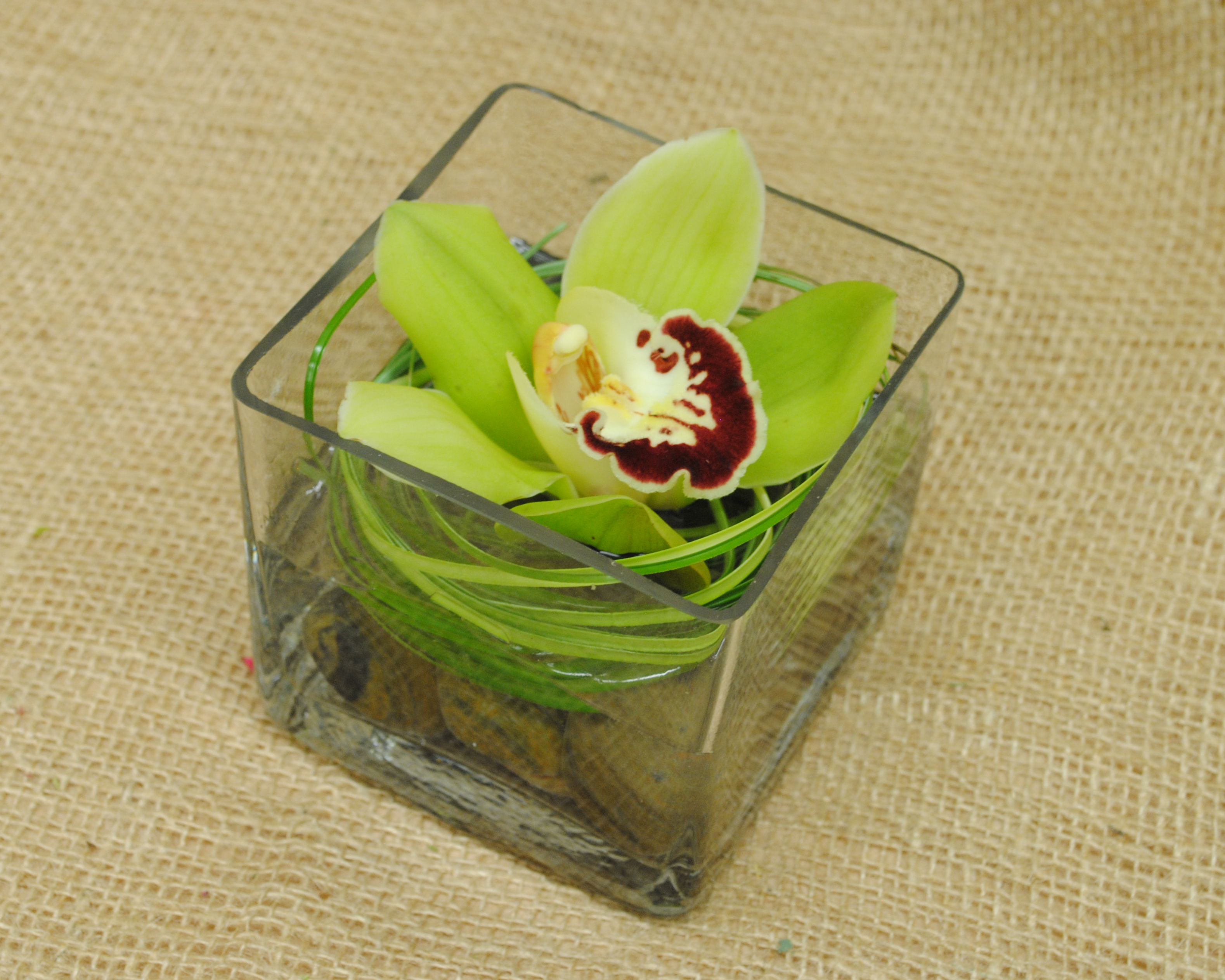 Cymbidium Orchid Centerpieces